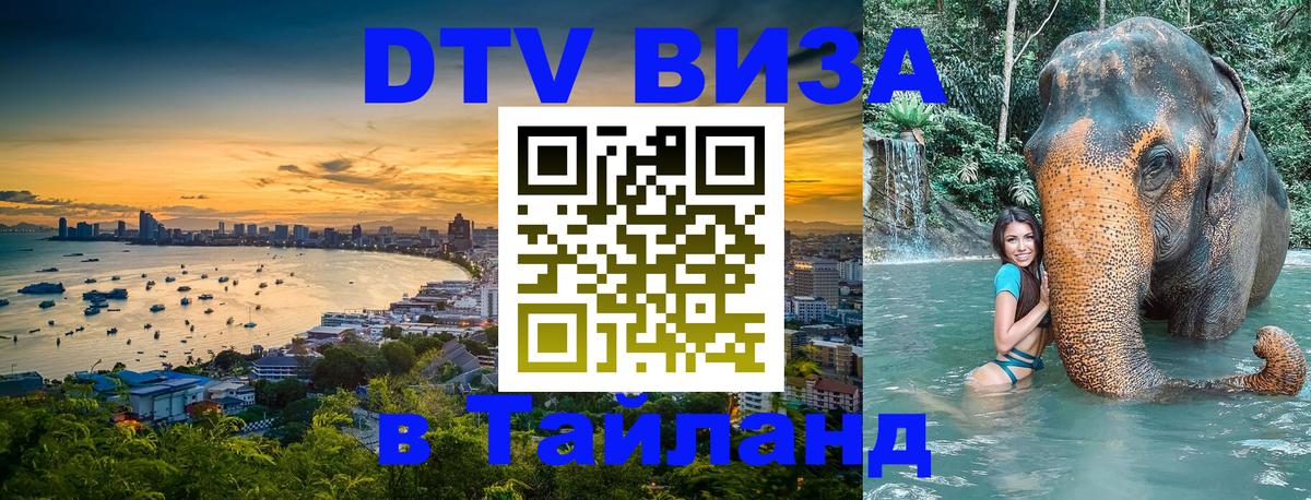 Оформление DTV визы под ключ: стоимость и тарифы, только загранпаспорт - Тула 